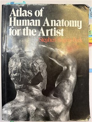 Atlas of Human Anatomy for the Artist by Stephen Rogers Peck book cover