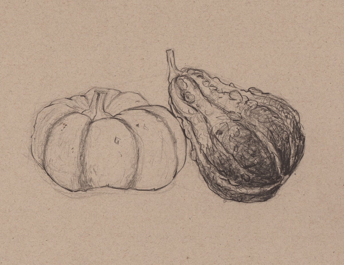 Graphite drawing of a round pumpkin beside a curved textured gourd on toned paper.