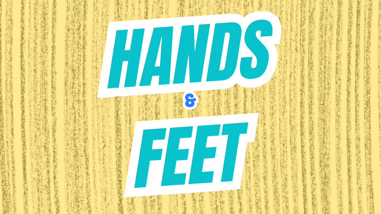 Hands and feet lesson preview
