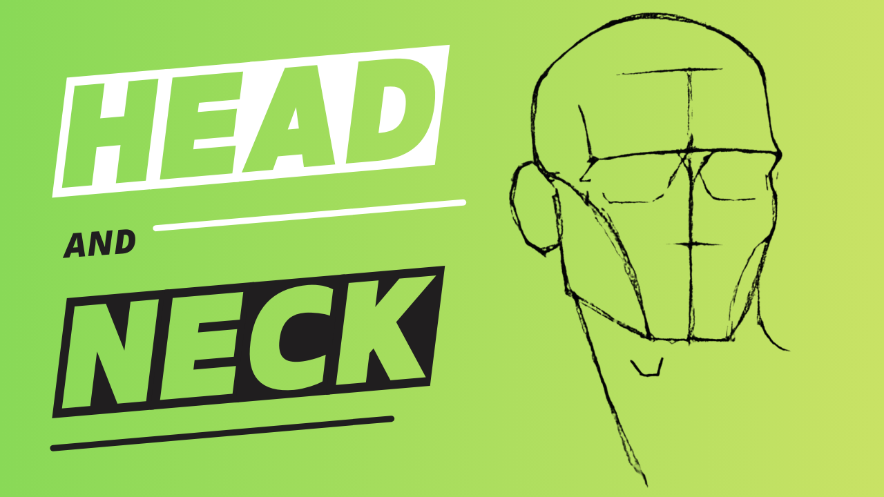 Head and neck lesson preview