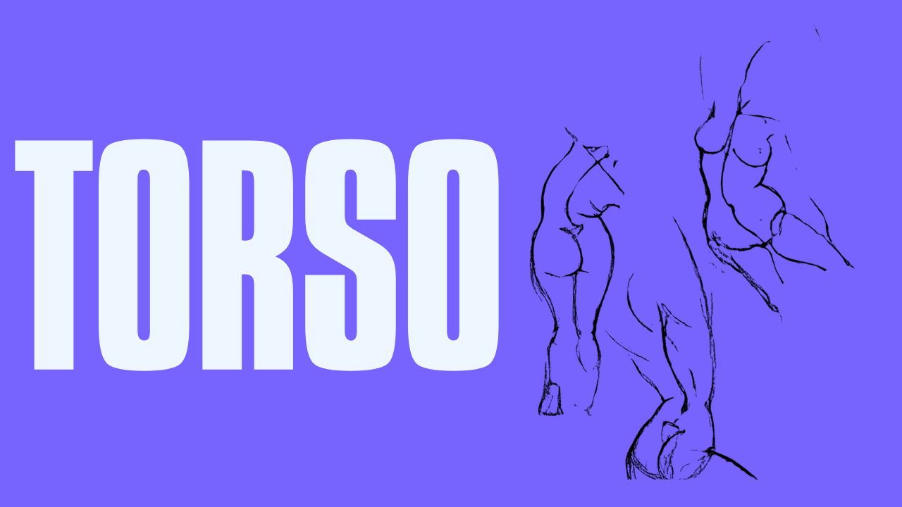 Torso lesson preview