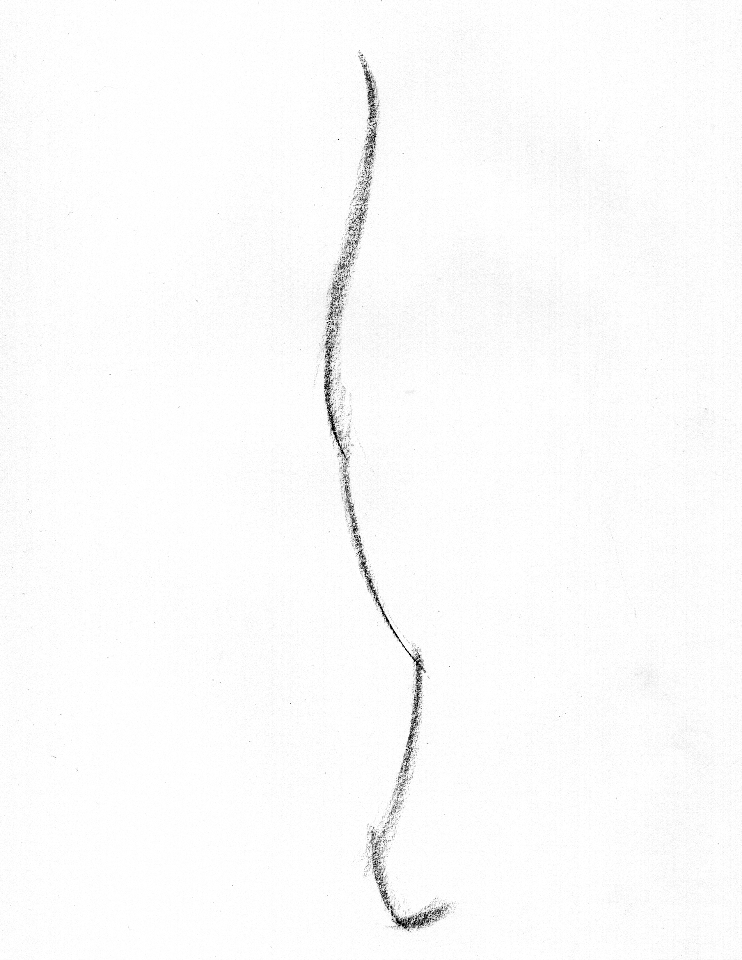 line of action gesture drawing example subtle s curve through body