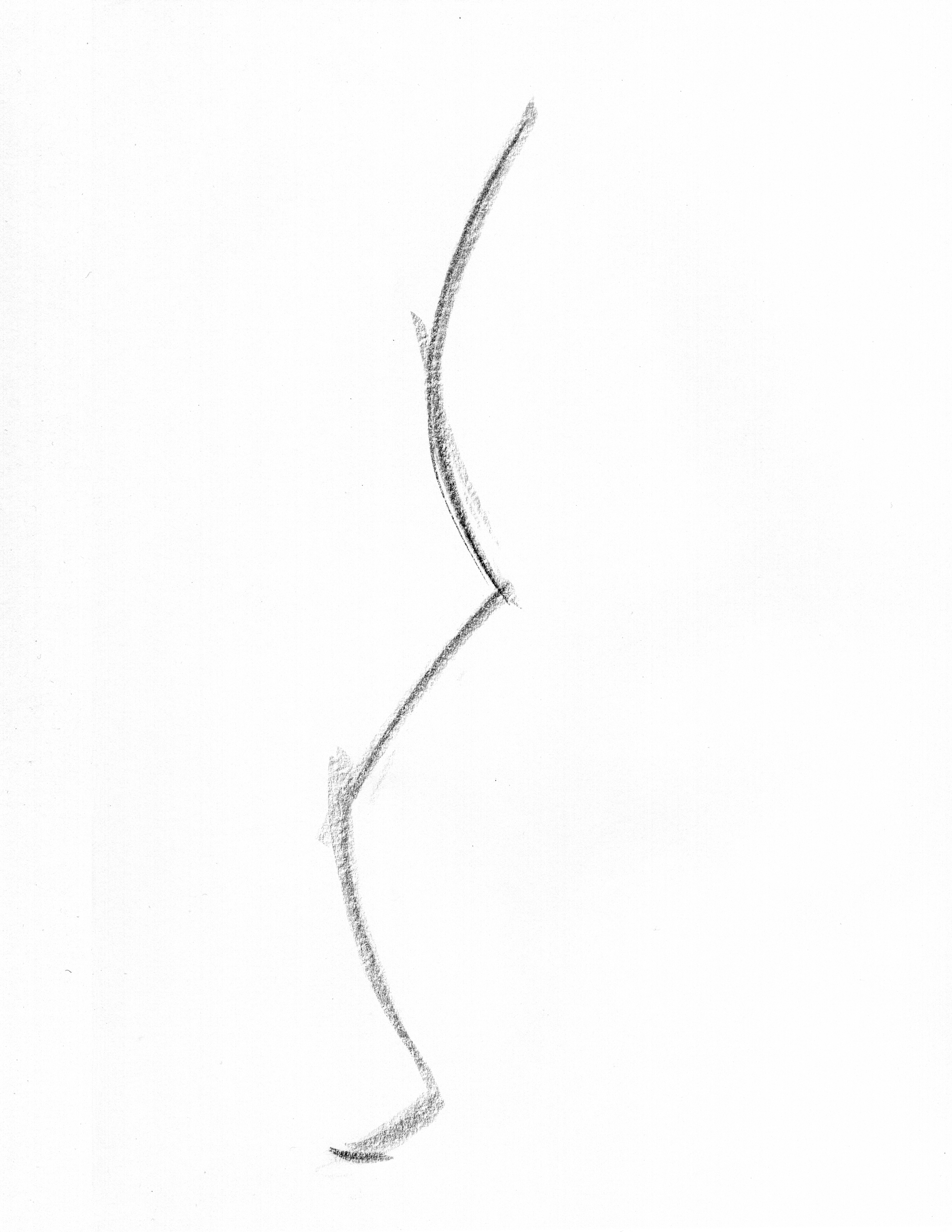 line of action gesture drawing example long c curve with opposite leg rhythm