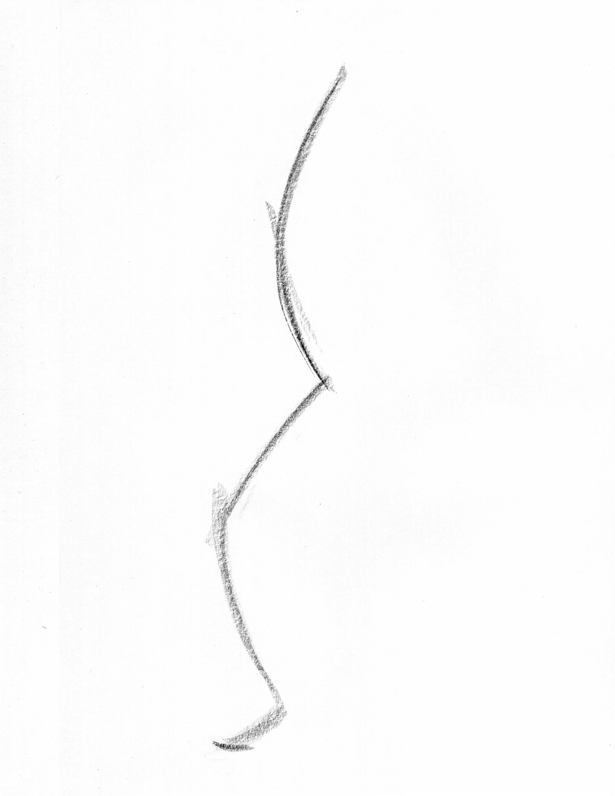 line of action gesture drawing example long c curve with opposite leg rhythm