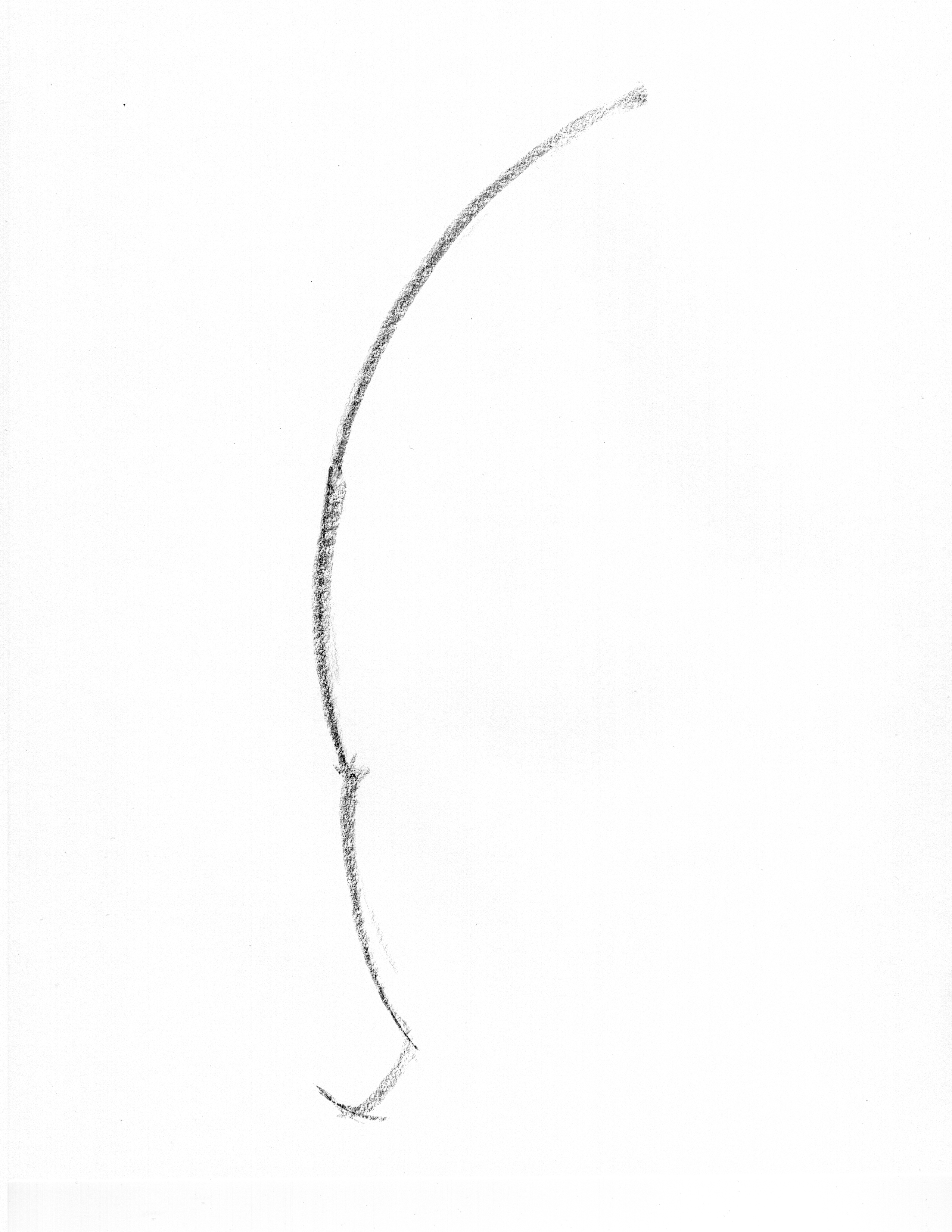 line of action gesture drawing example upright sweep through torso and hips