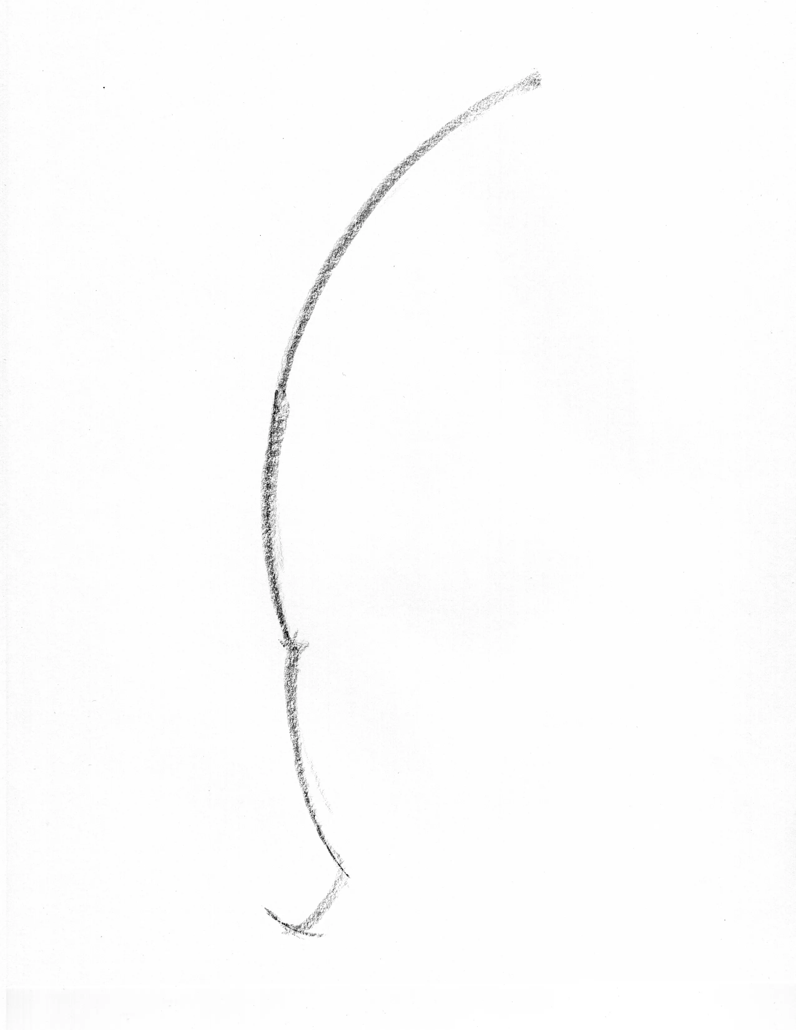 line of action gesture drawing example upright sweep through torso and hips