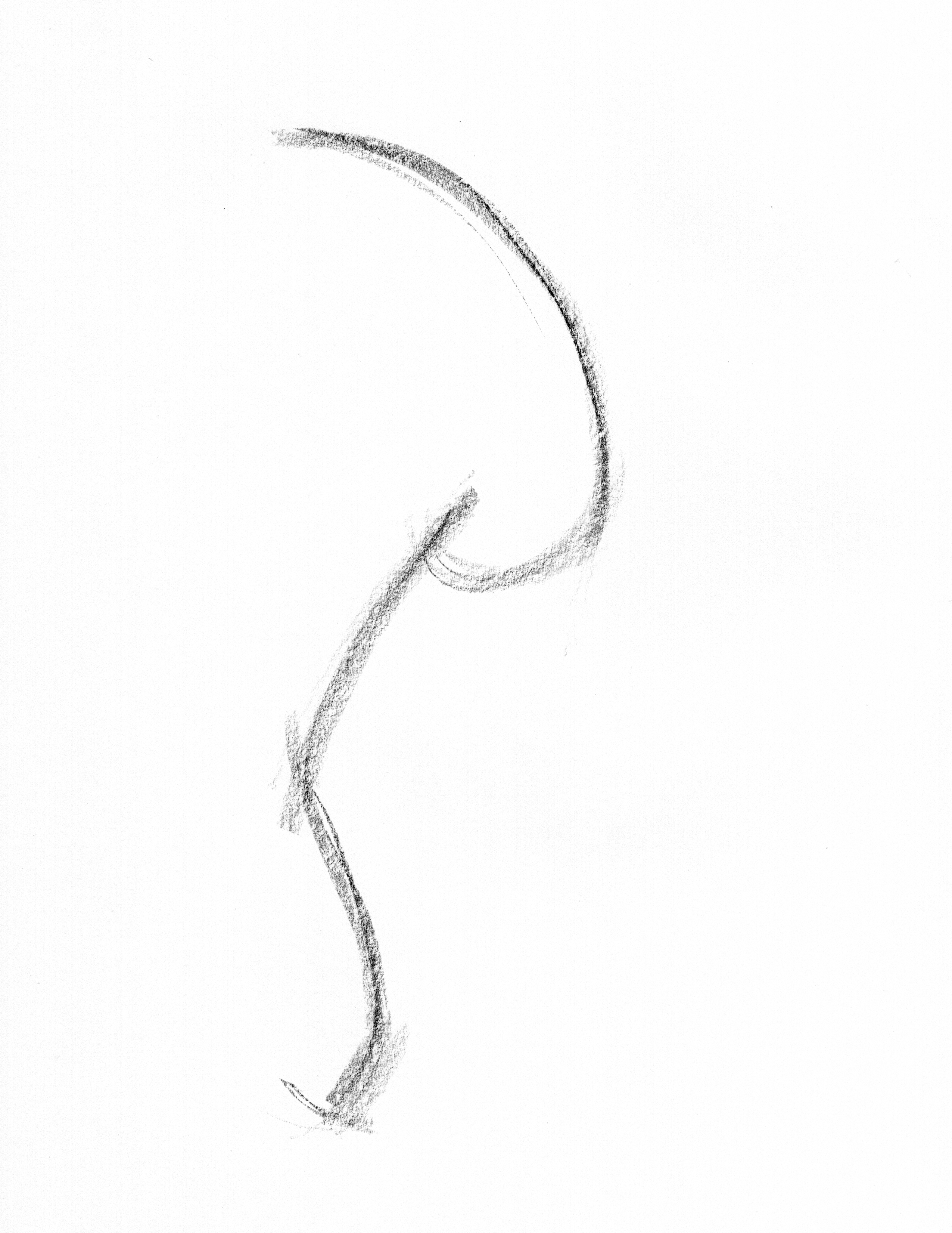 line of action gesture drawing example long arc with directional force