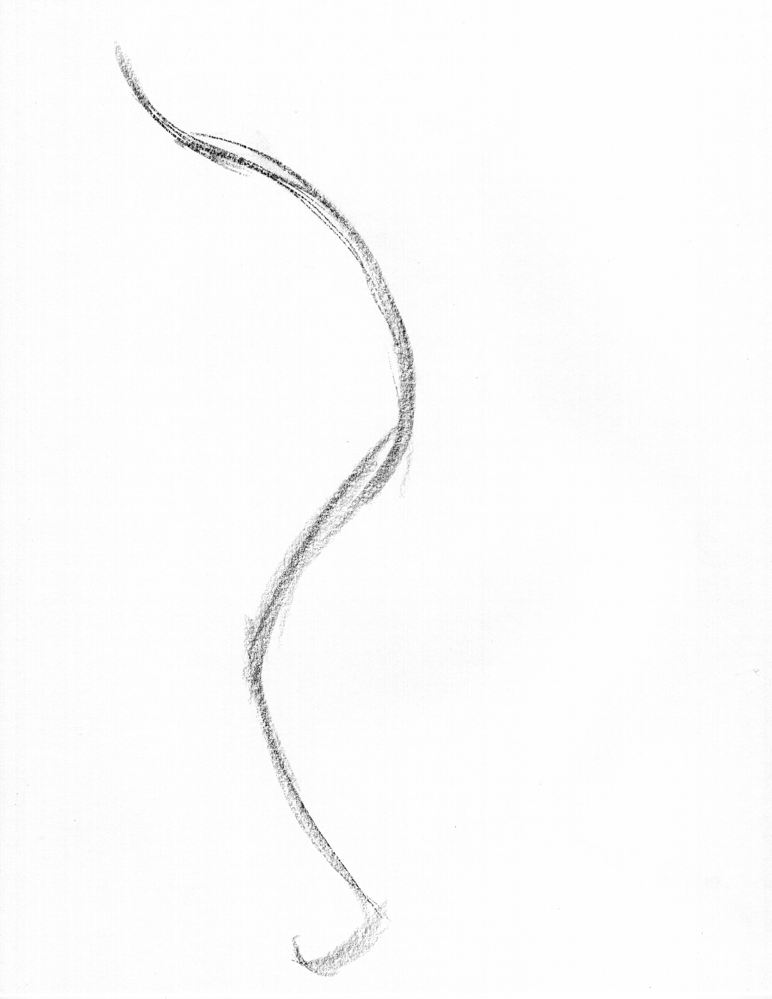 line of action gesture drawing example curve to straight transition through stance