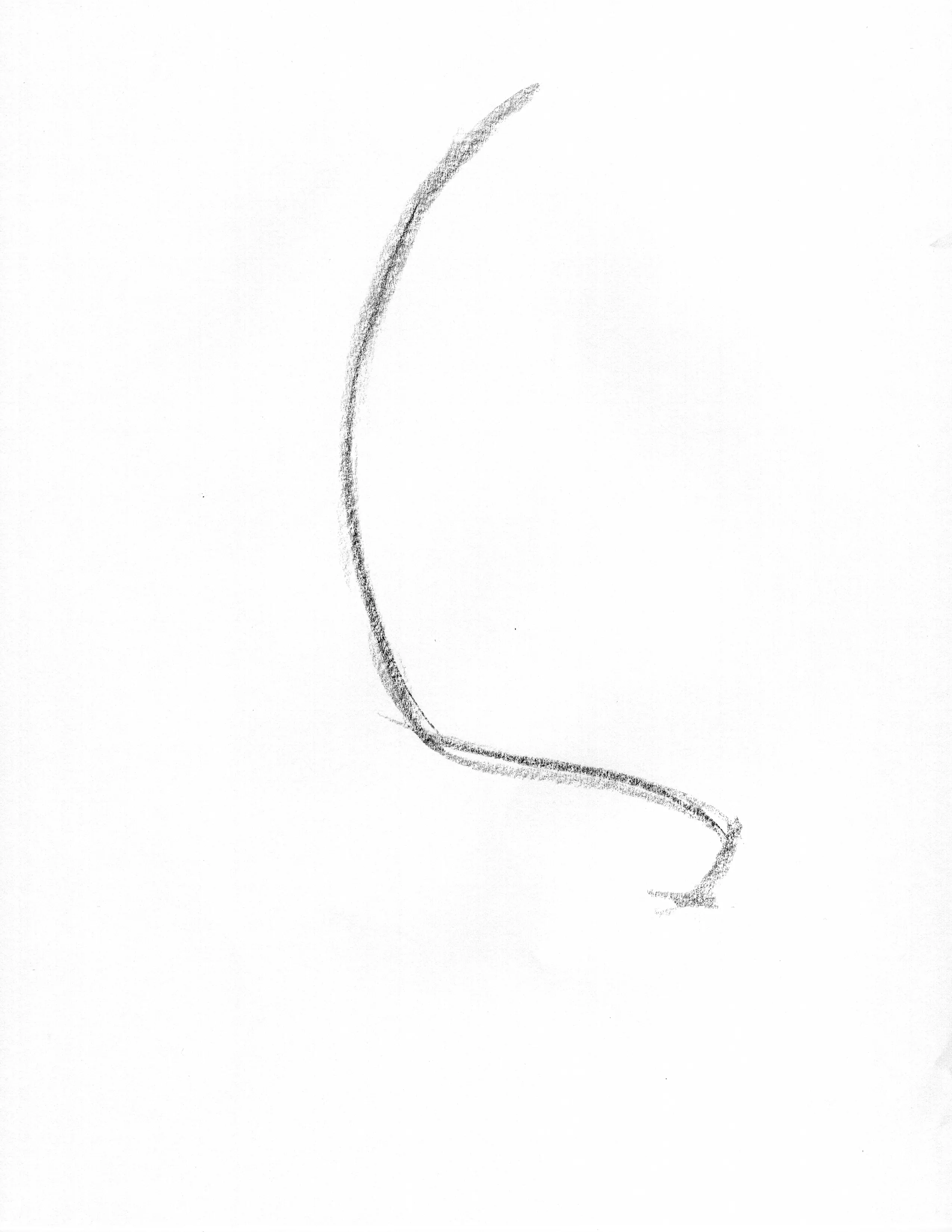 line of action gesture drawing example upward torso lift with grounded stance