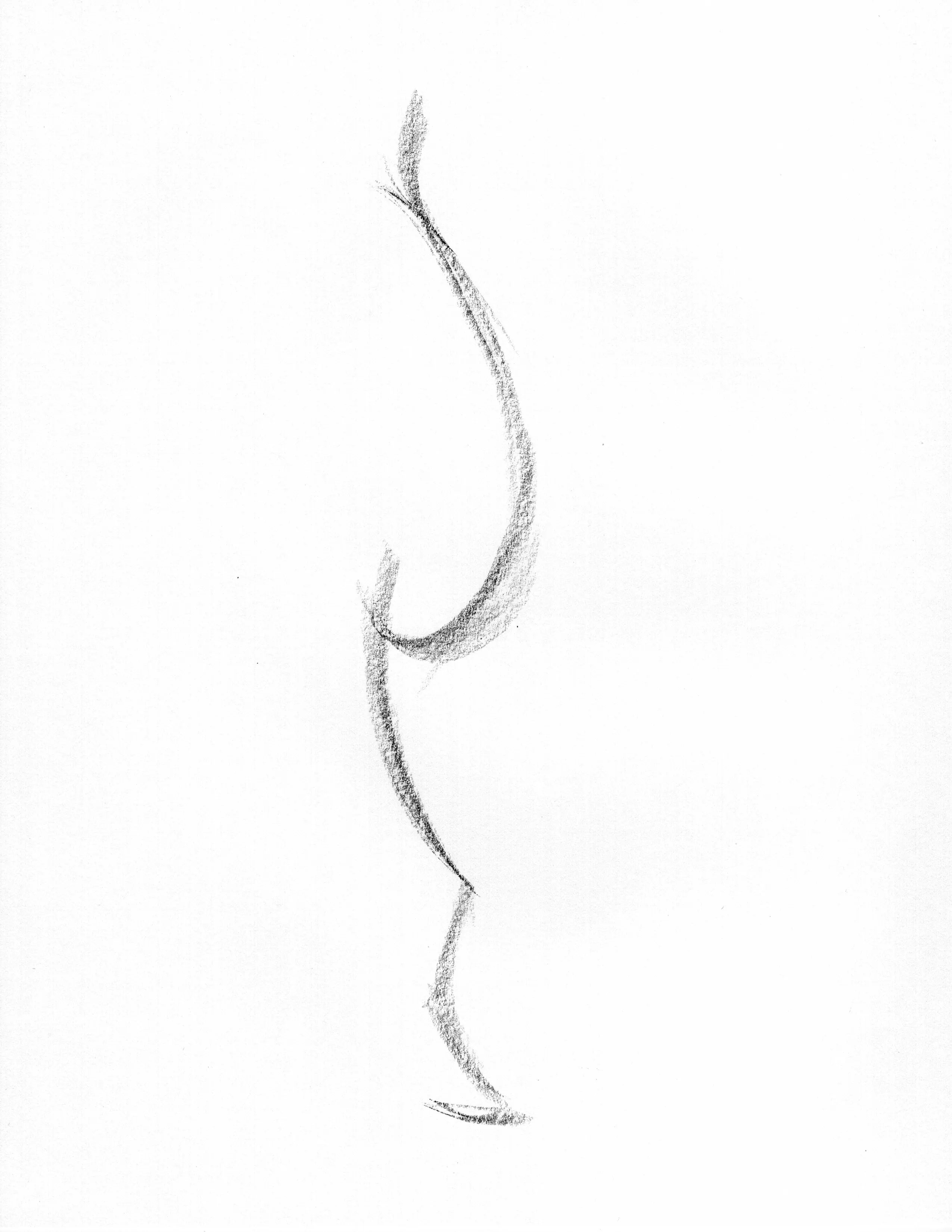line of action gesture drawing example center sweep with alternate front leg read