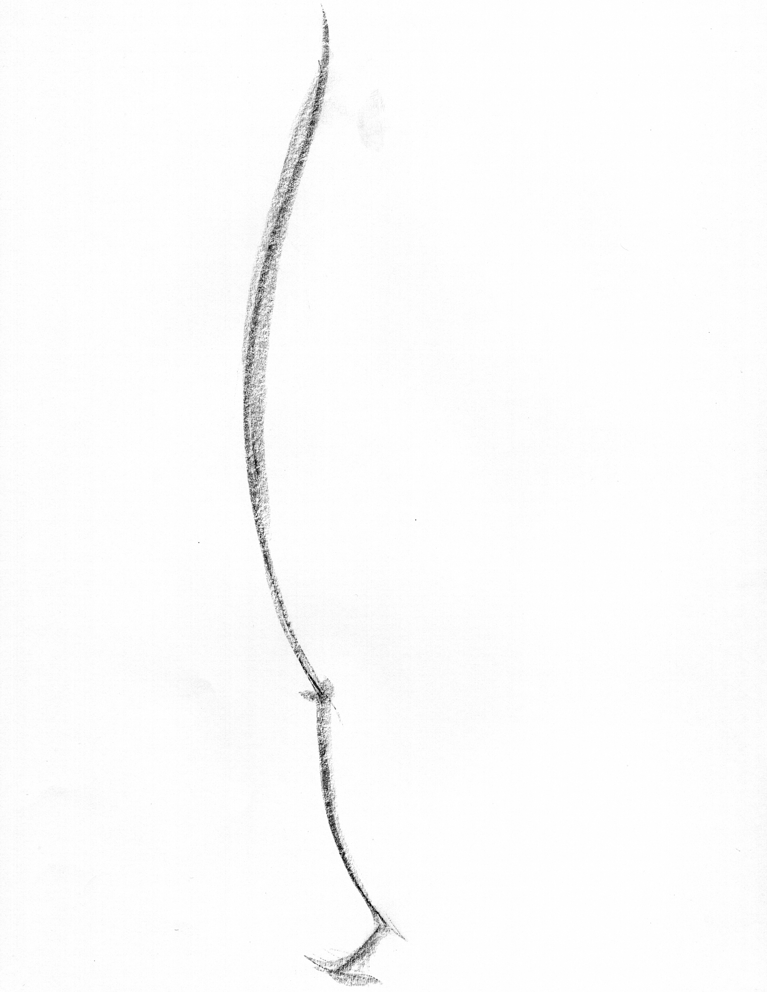 line of action gesture drawing example knee and foot stance with sweeping c curve