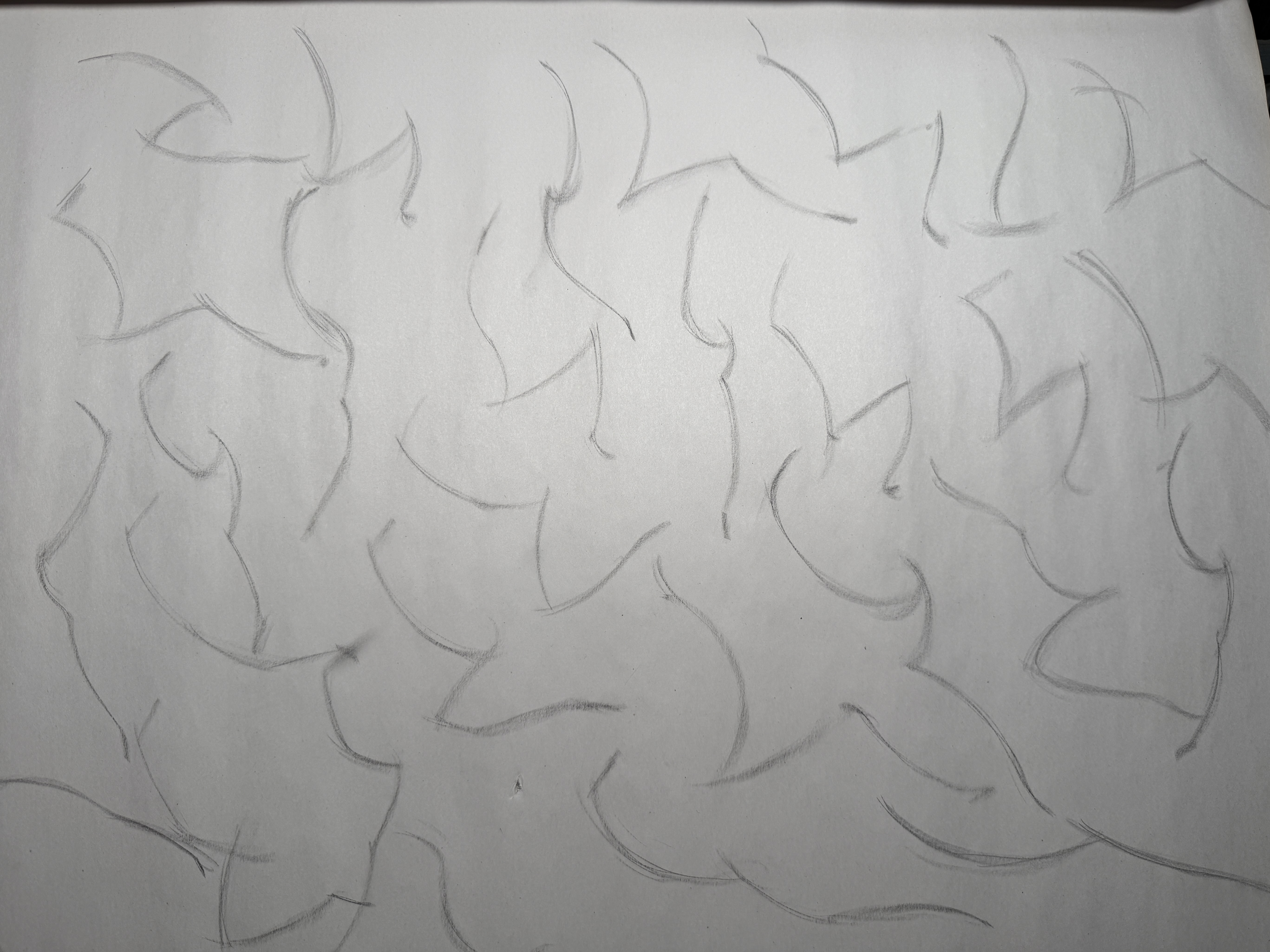 Line of action drawing study